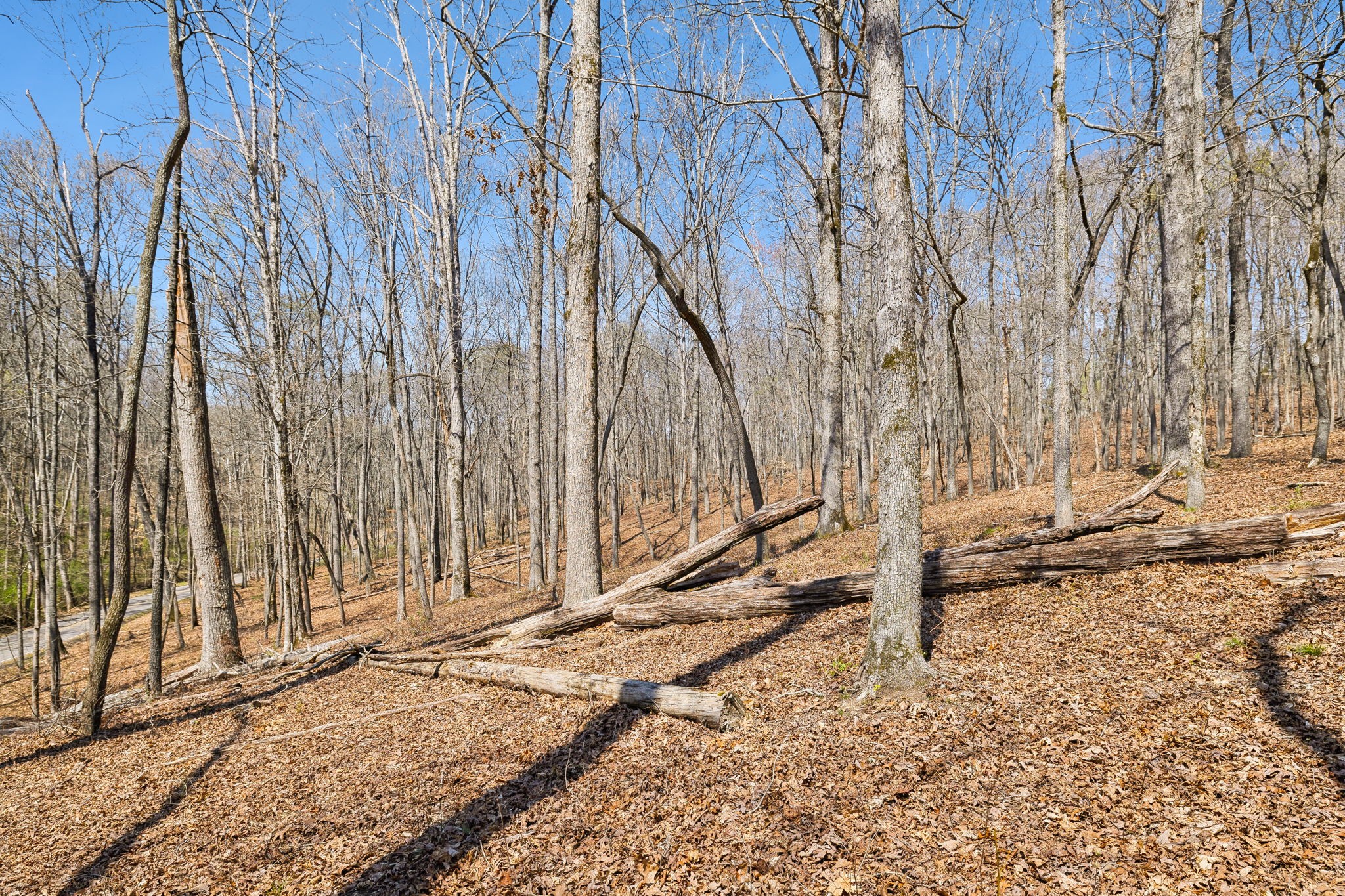 1300 Old Sugar Limb Rd