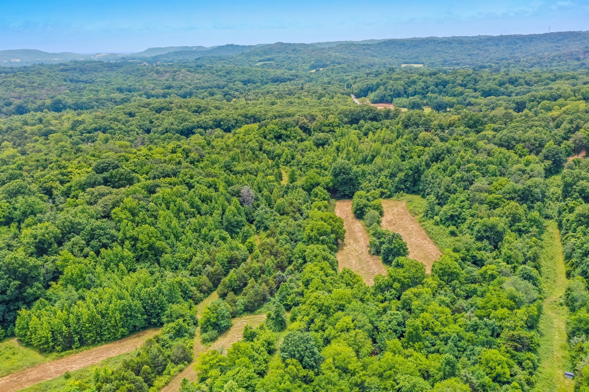 6492 Arno College Grove Rd