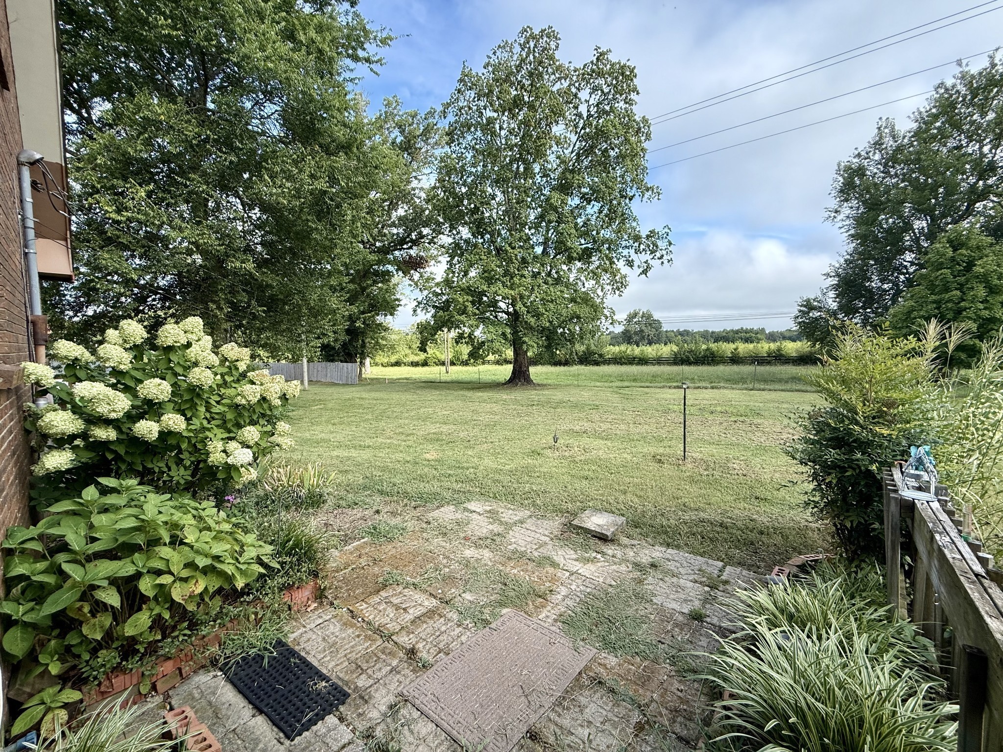 1408 Holly Grove Road