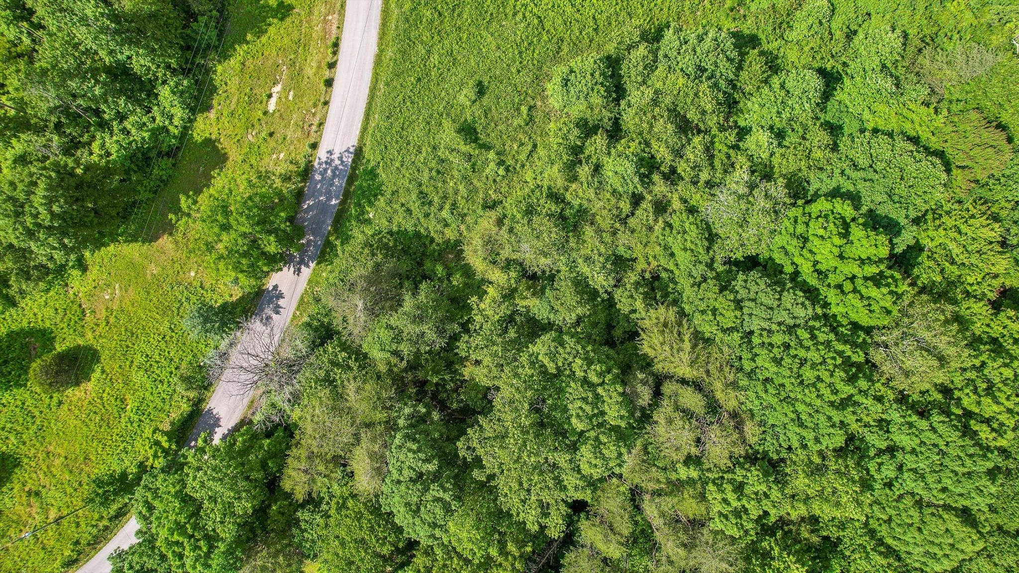 Middle Tennessee Properties 4 4300 Pocket Road