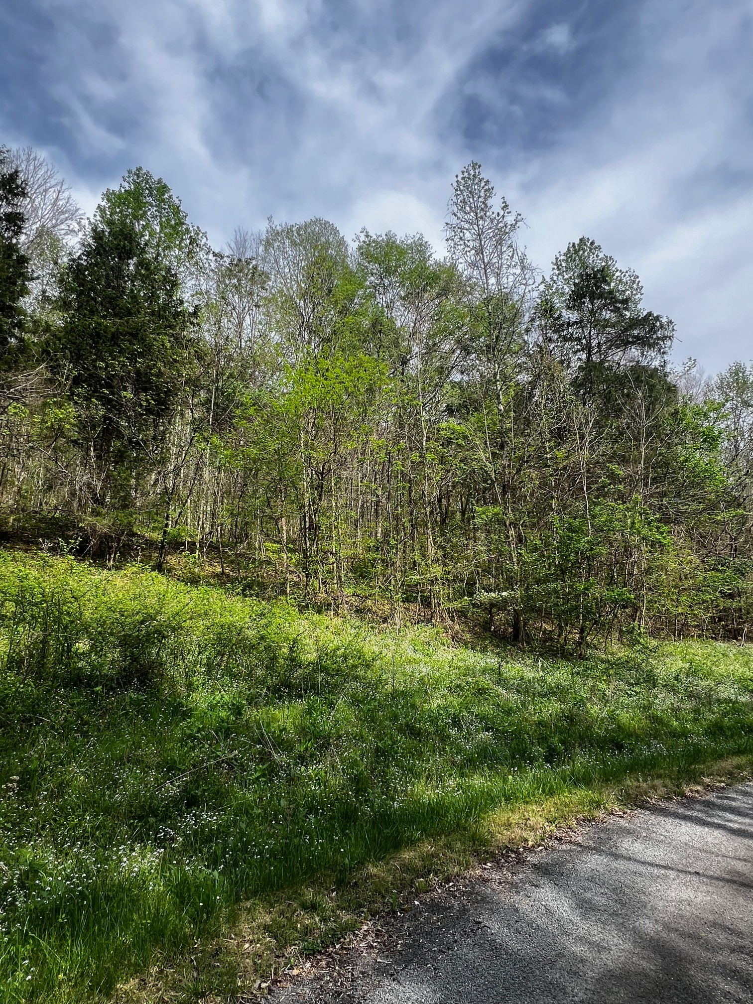 0 Weber Lane