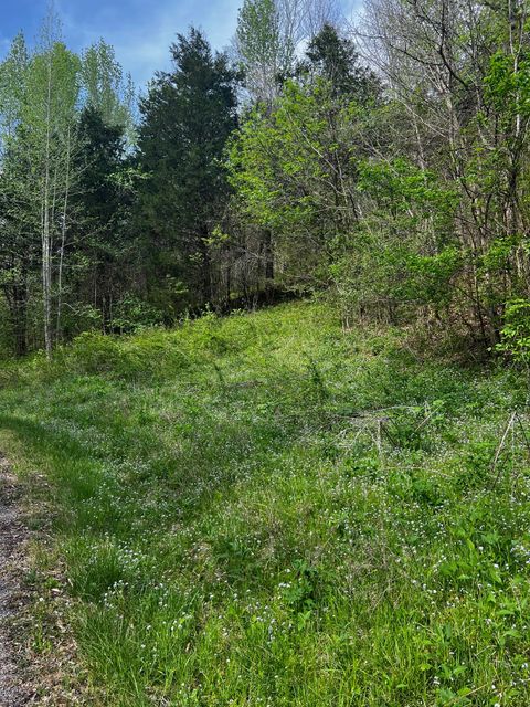 0 Weber Lane Celina TN 38551