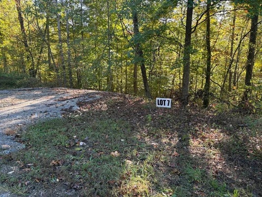 SLAUGHTER RD N, PRIMM SPRINGS, TN 38476 - Image edb7f7dc04bd35baa71eff457e9b8d37/2977369363
