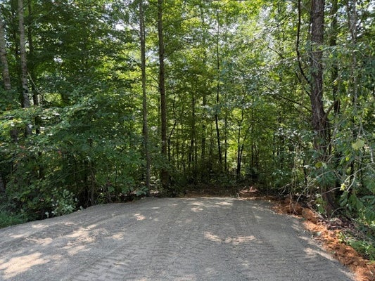 SLAUGHTER RD, PRIMM SPRINGS, TN 38476 - Image edb7f7dc04bd35baa71eff457e9b8d37/694065615