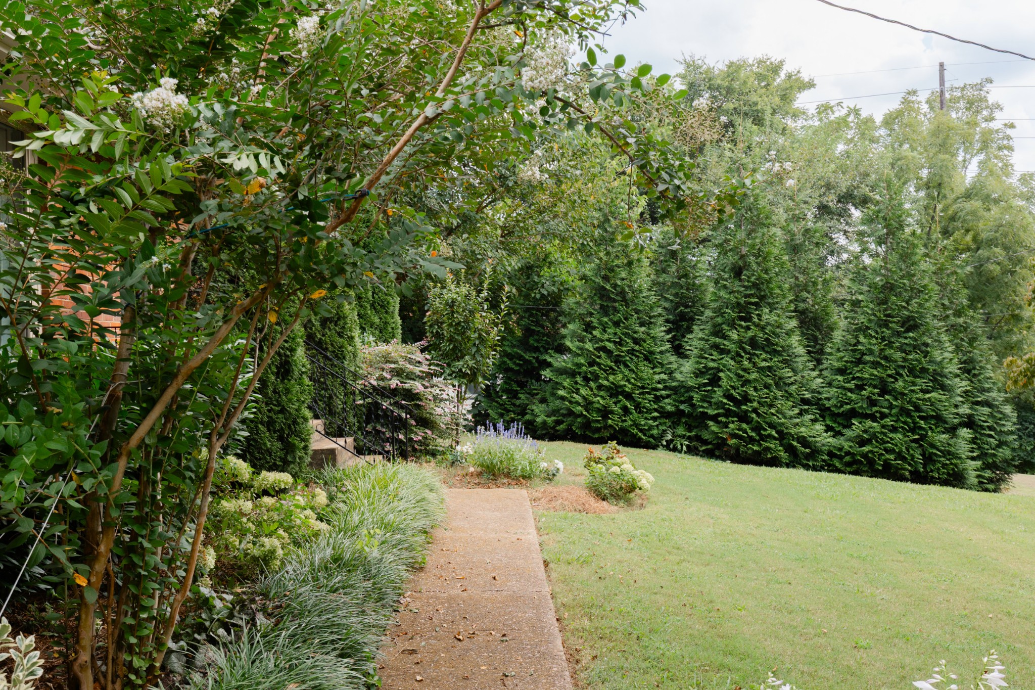 3318 Dumas Dr