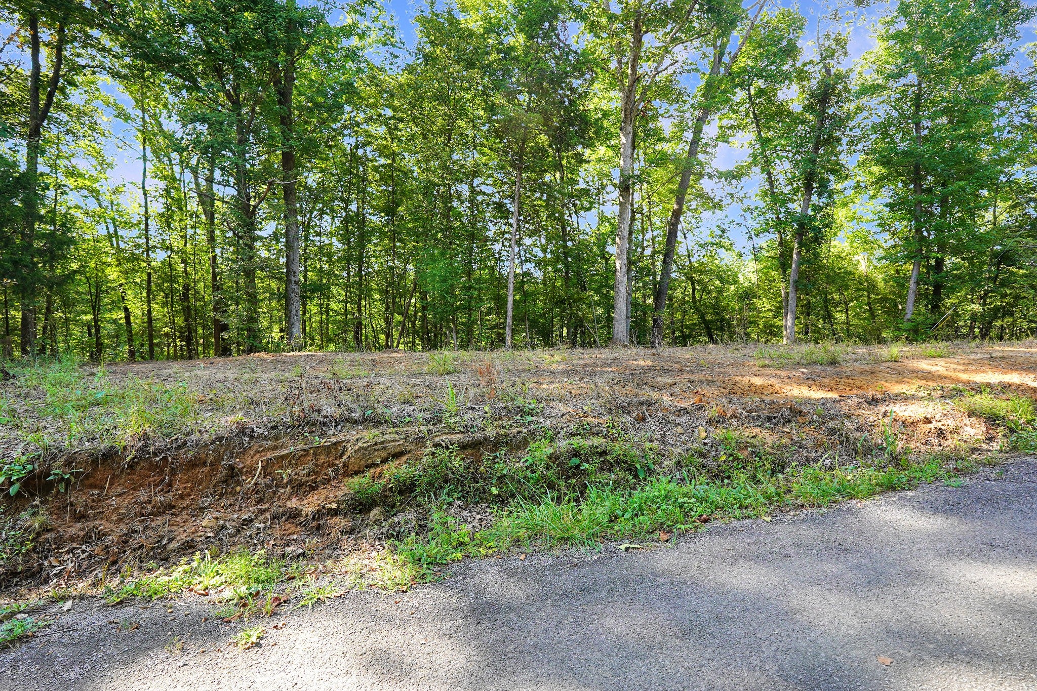 8 Selph Rd