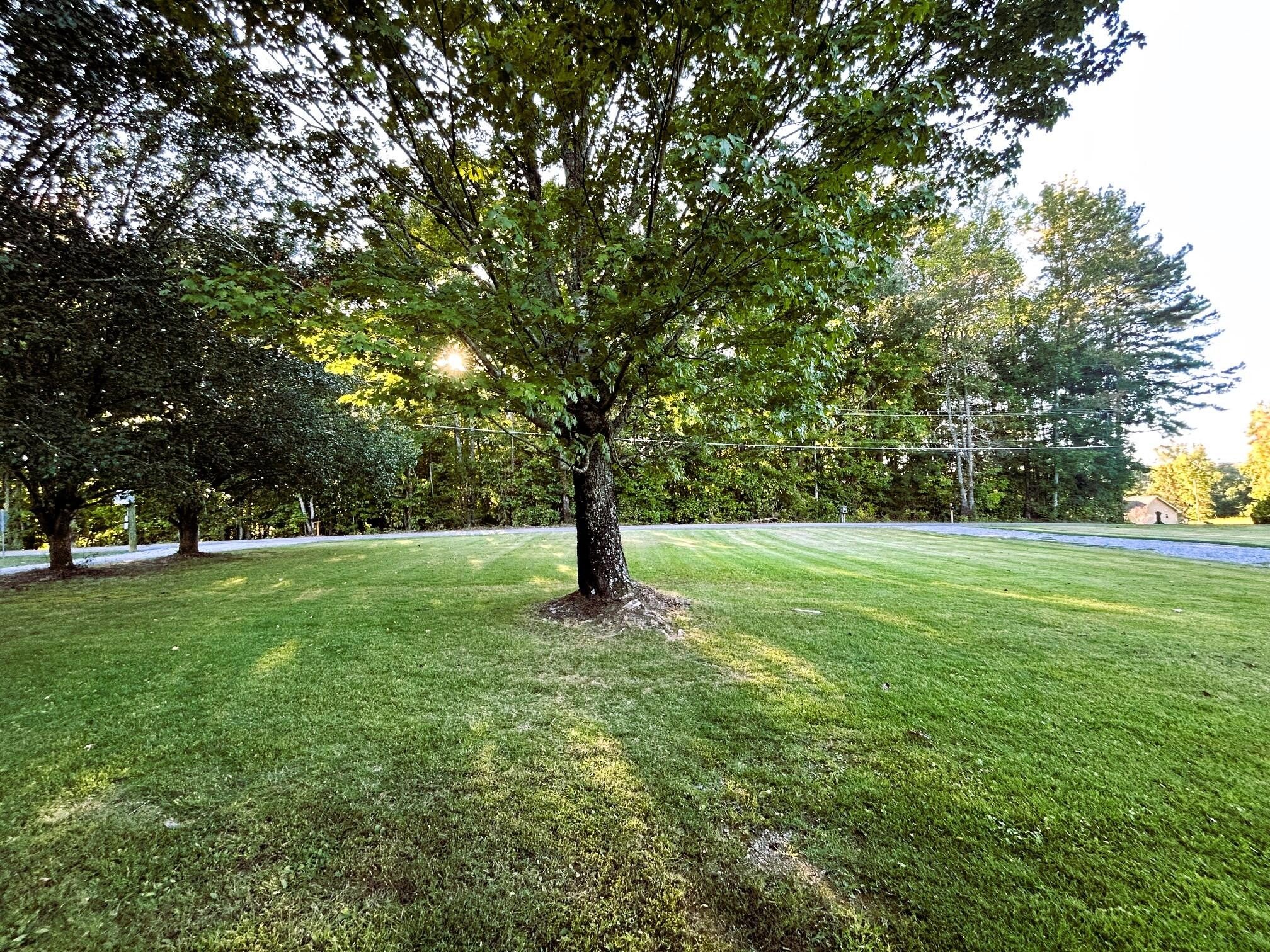 169 County Road 439