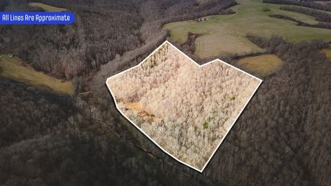 3306 Clifty Rd Westmoreland TN 37186