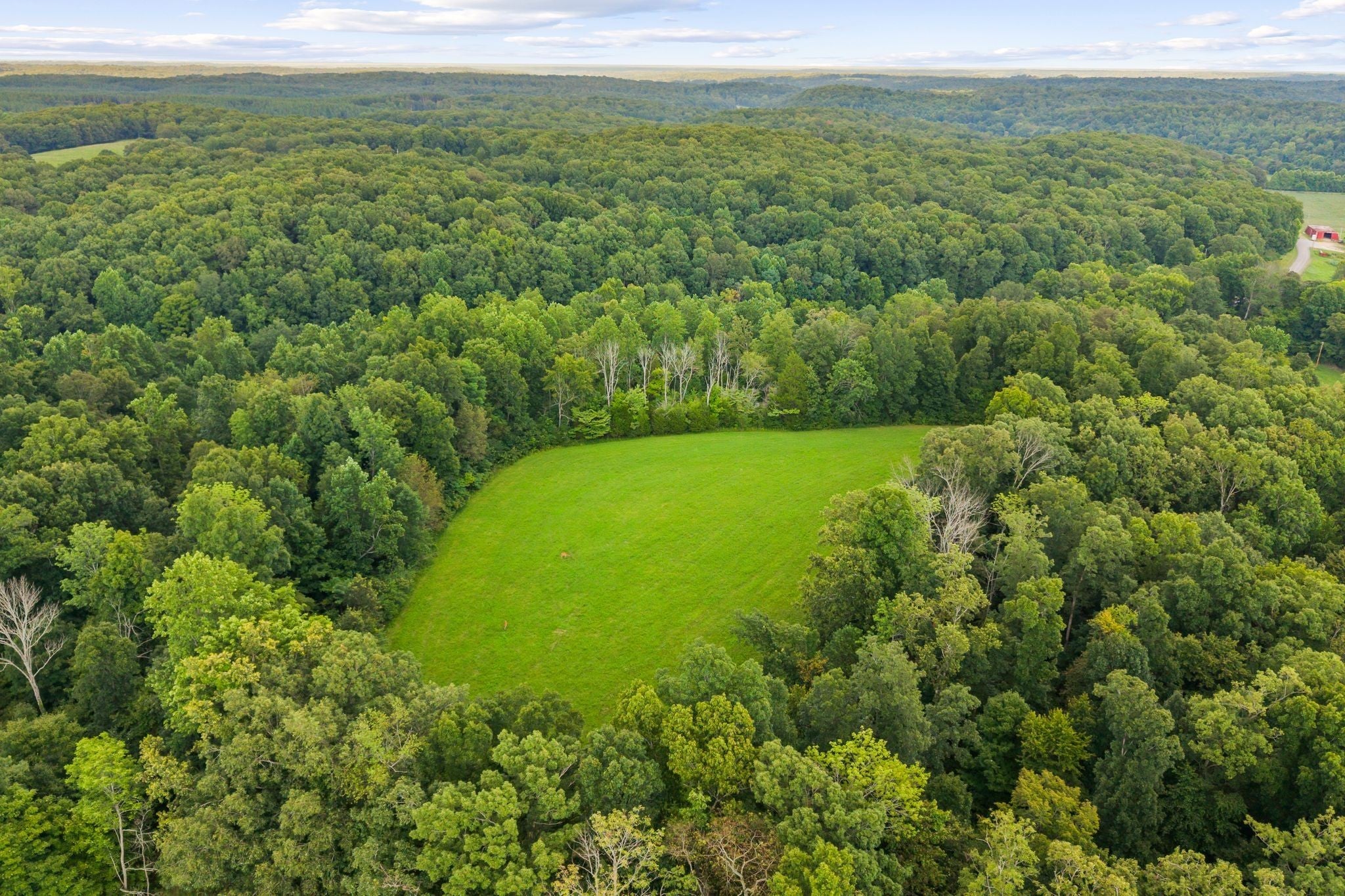 1150 Bell Hollow Rd