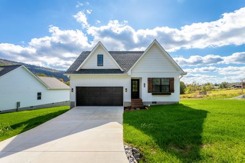 Photo of 738 Sells Ln, Trenton, GA 30752 (MLS # 3065182)