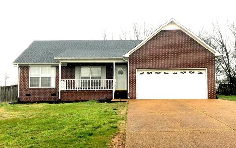 3101 Jeffrey Ct Thompsons Station TN 37179