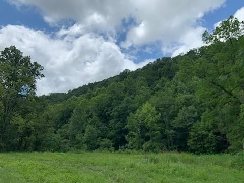 0 Wartrace Rd