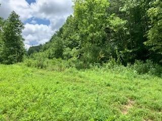0 Wartrace Rd