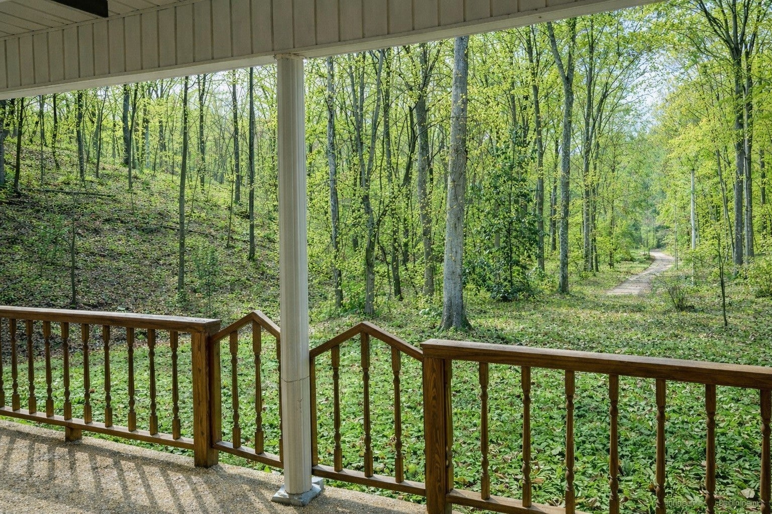 1135 Mink Branch Rd