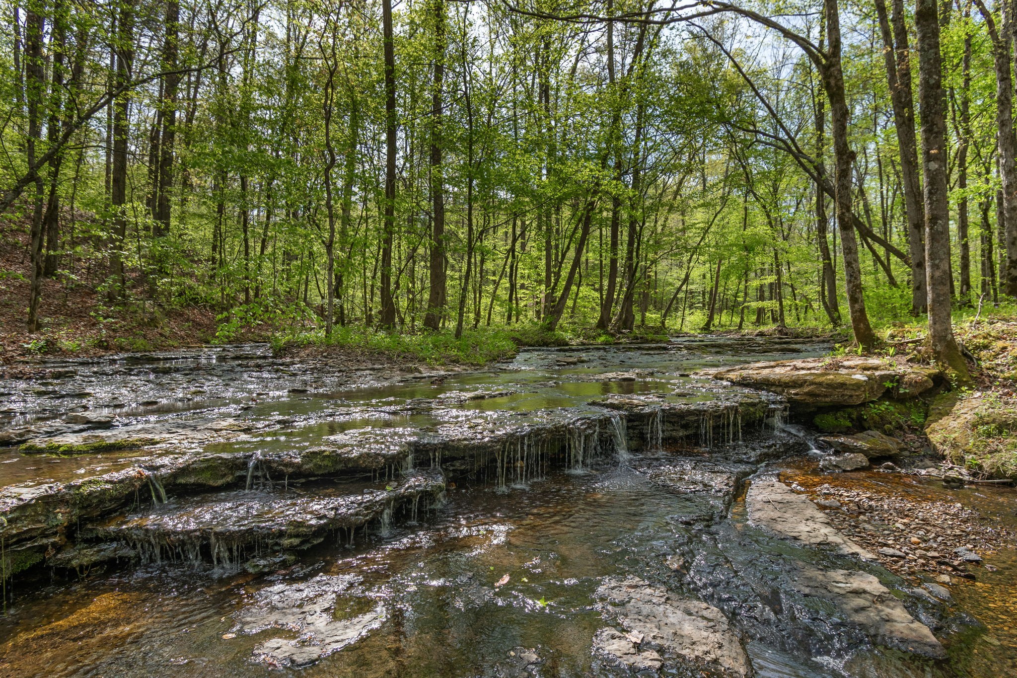 202 Ravenridge Rd