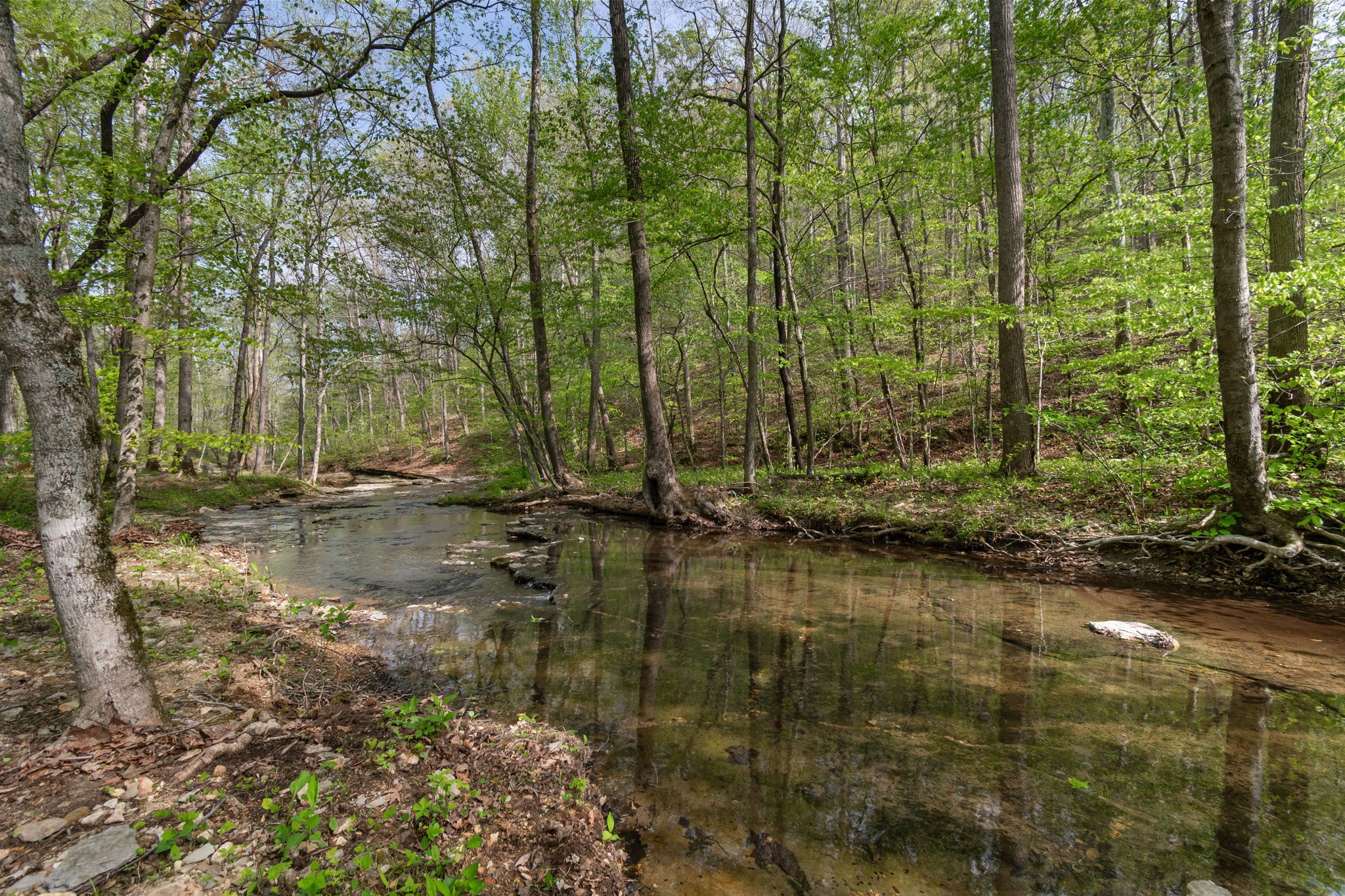 202 Ravenridge Rd