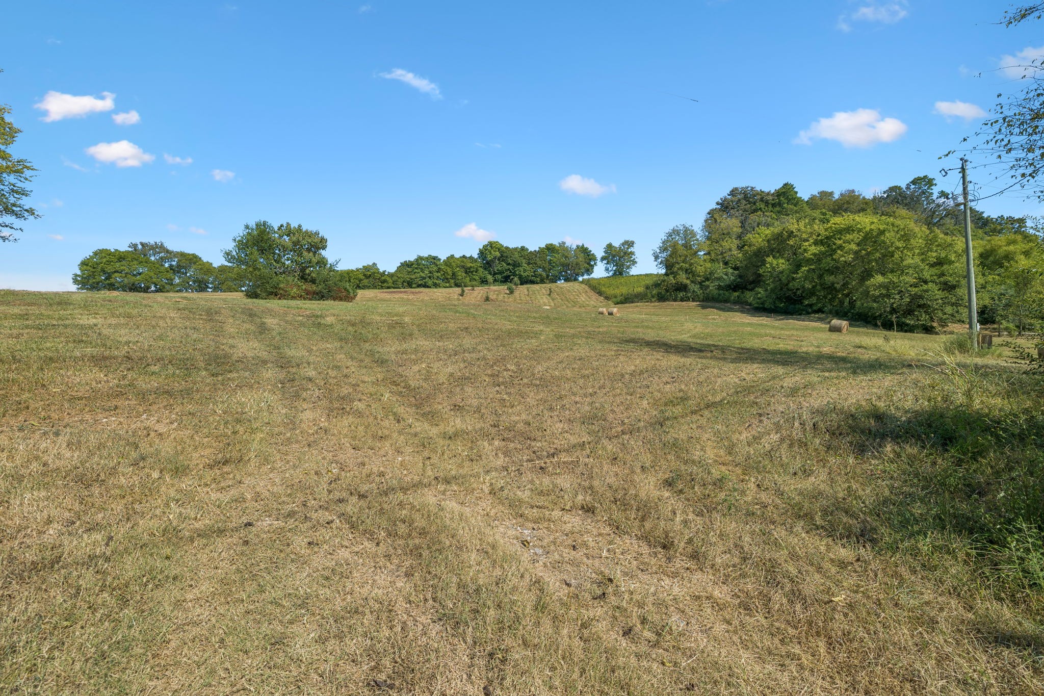 1924 Thompson Station Rd W