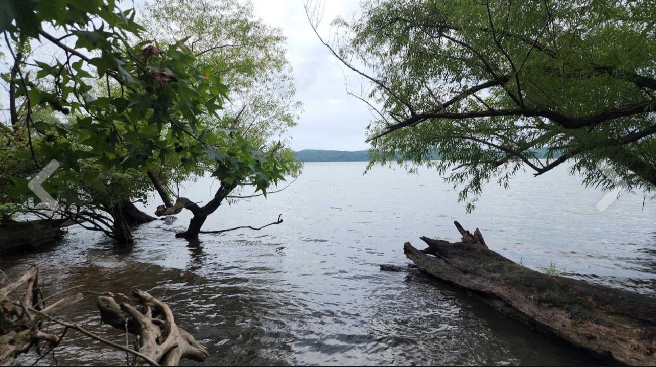 0 Bear Creek Lot 53 Rd