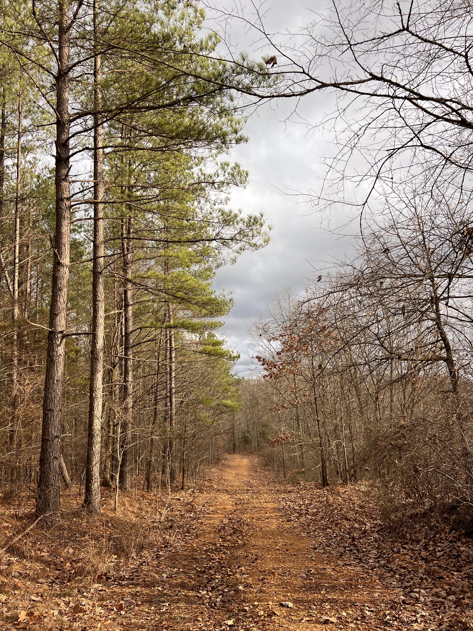 0 Bear Creek Lot 53 Rd