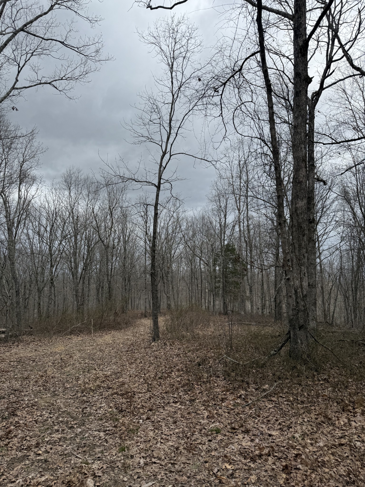 0 Bear Creek Lot 53 Rd