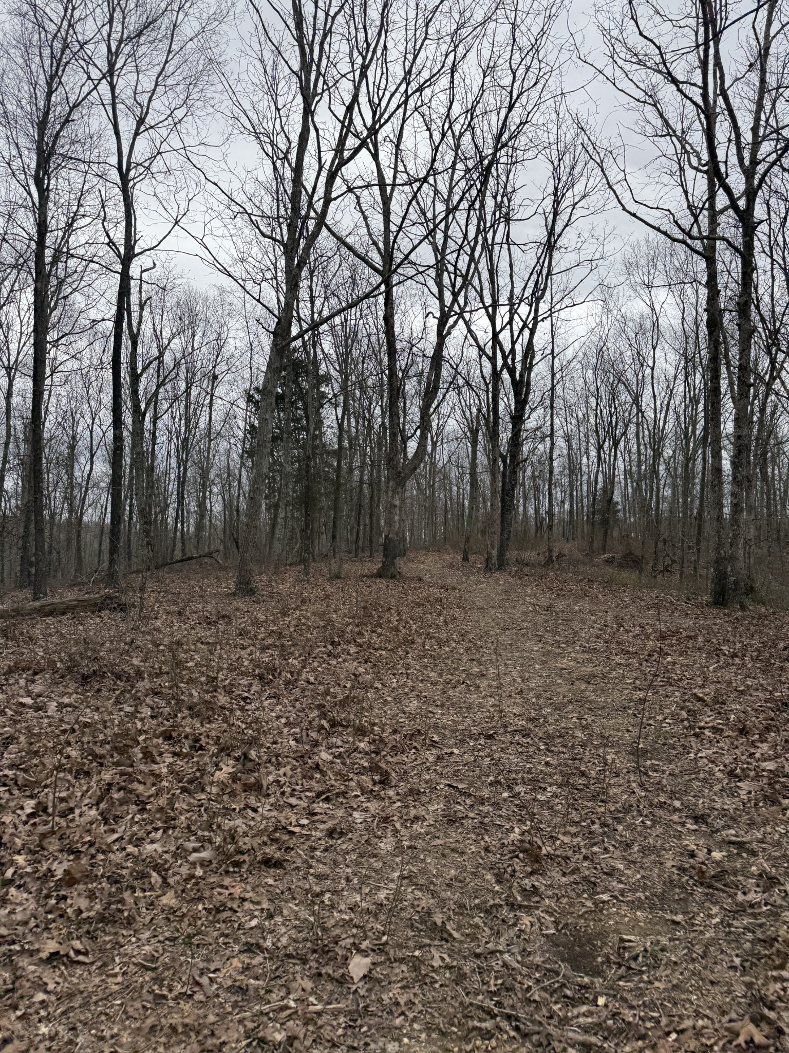 0 Bear Creek Lot 53 Rd