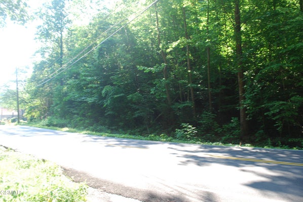 650 GLADES RD, GATLINBURG, TN 37738 - Image eeb249b4c030a60696dd6ff5dbfa7bf7/1019433432