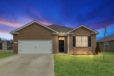 234 Addison Ave, Chapel Hill, TN 37034 - MLS#: 2802397