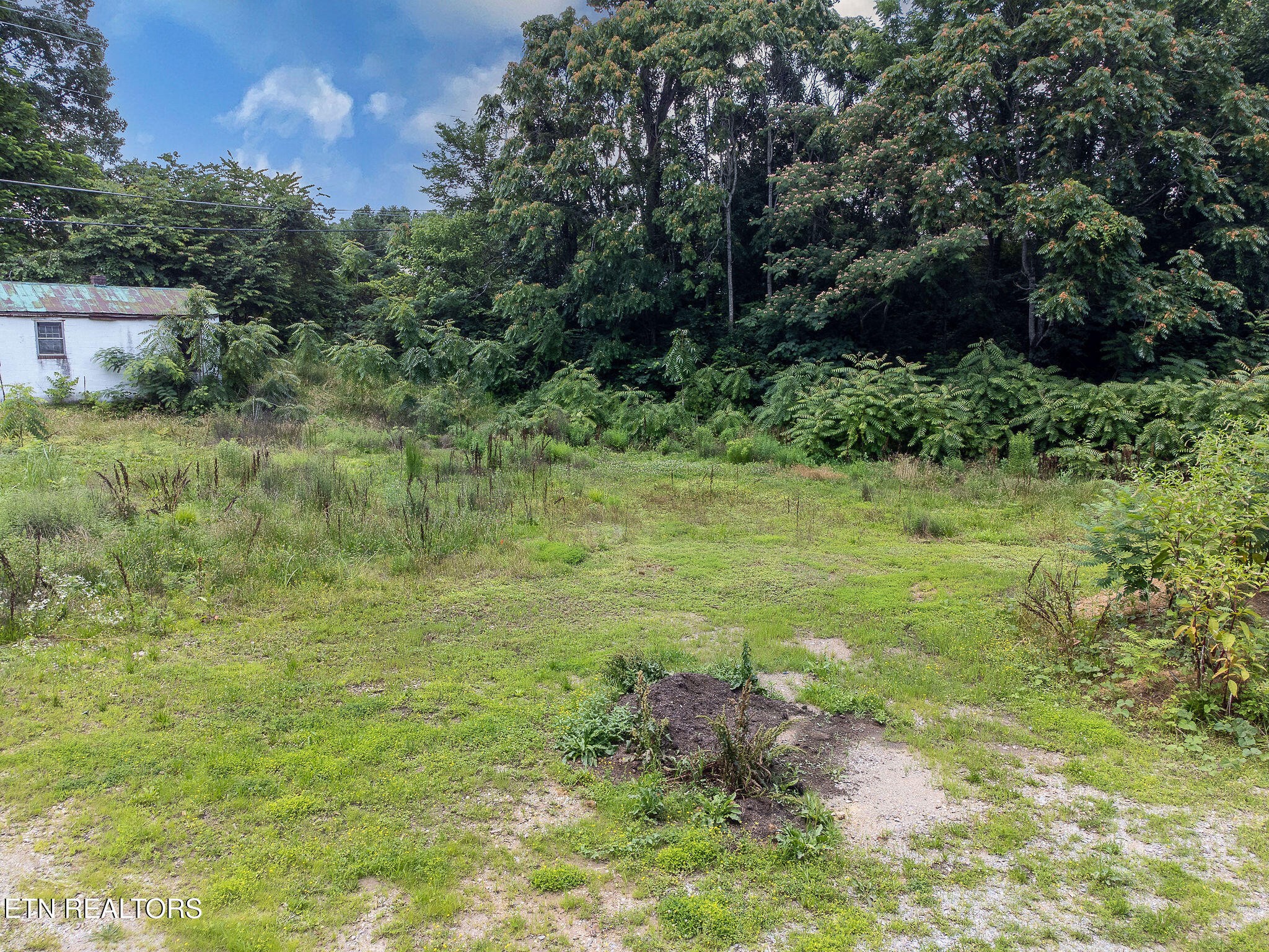 8158 Bell Campground Rd