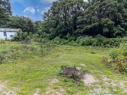 8158 Bell Campground Rd Powell TN 37849