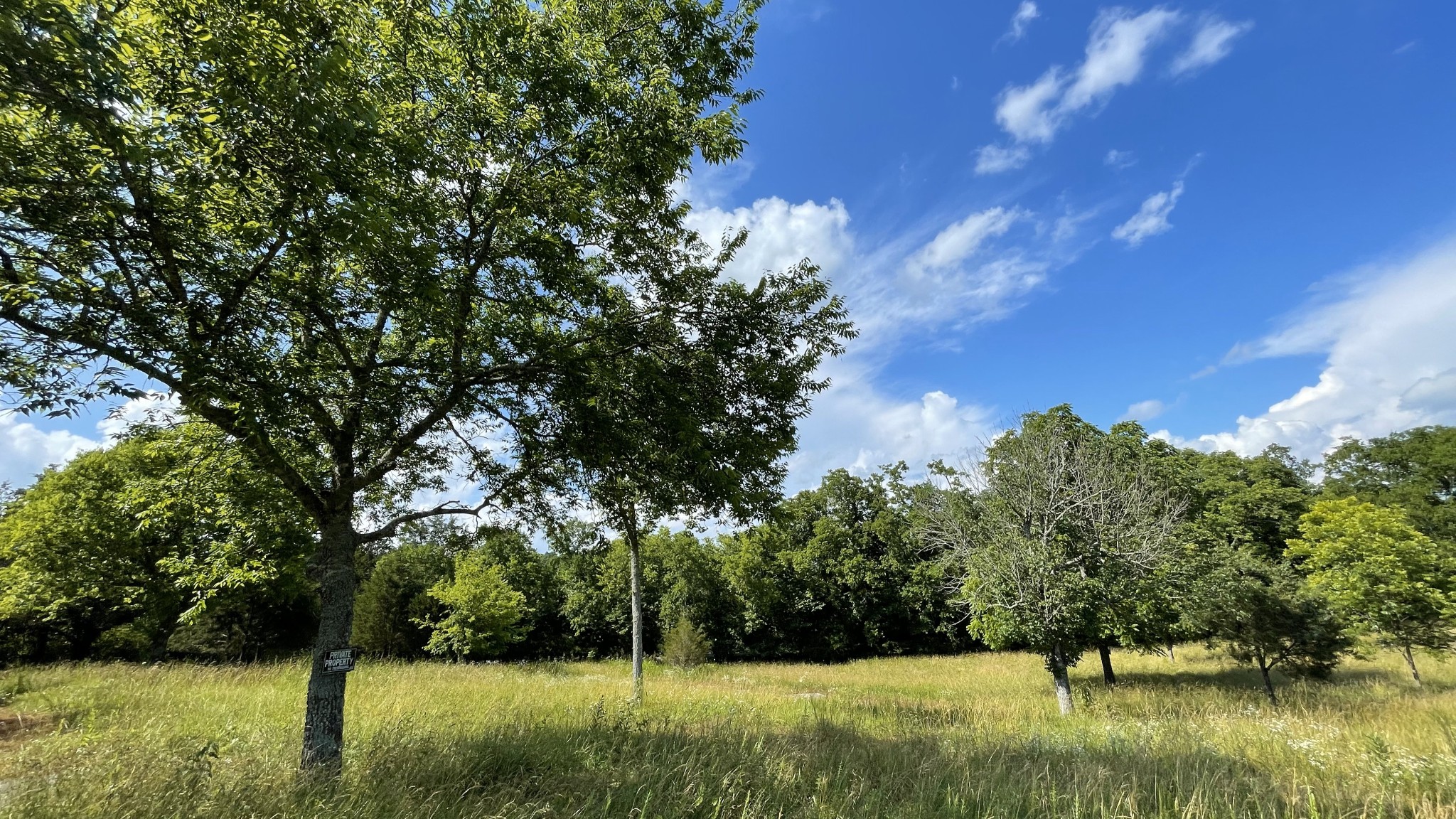 8850 Hartsville Road