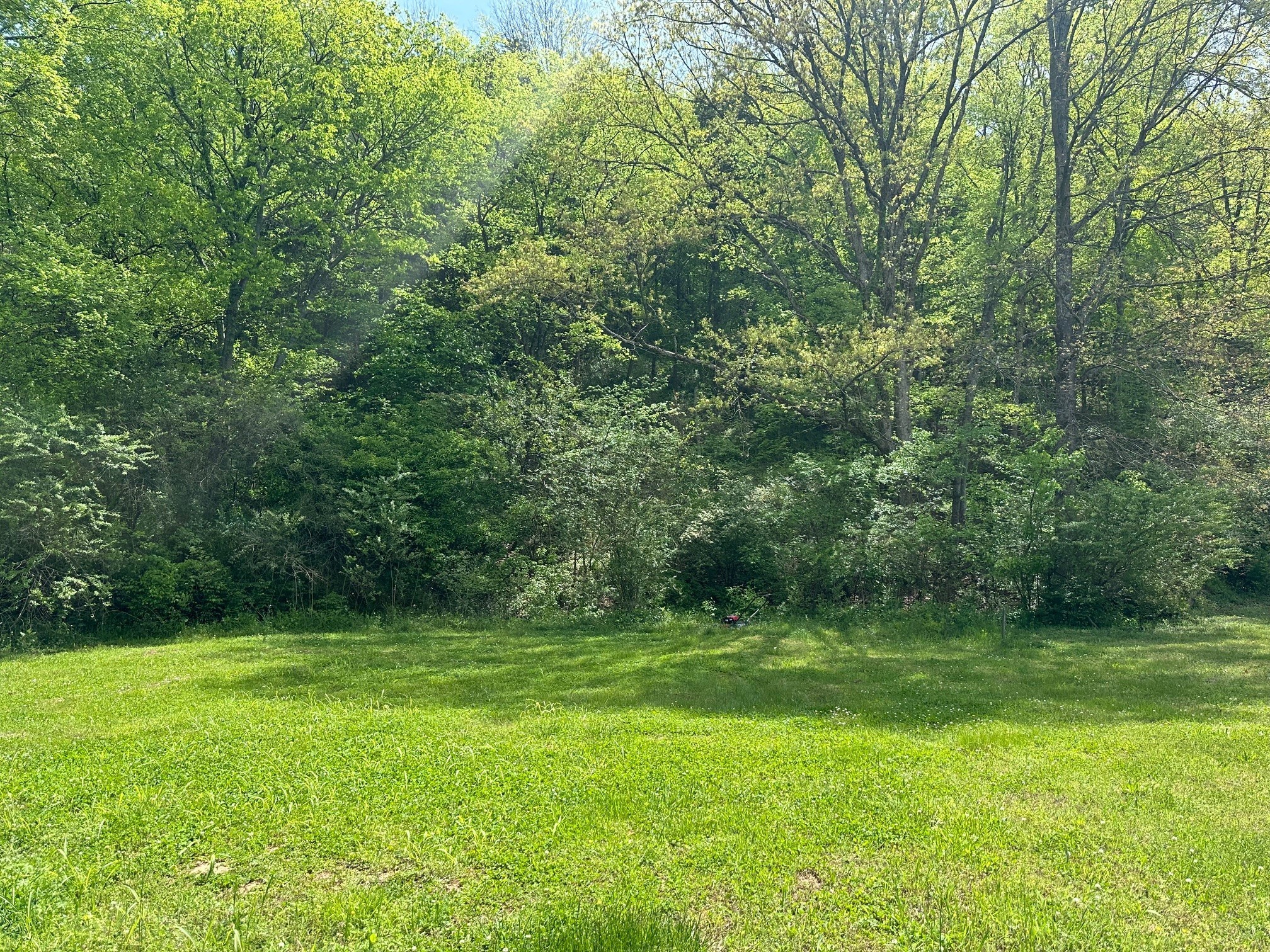 1014 Creekside Dr