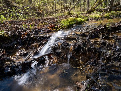 3916 Cummings Road Chattanooga TN 37419