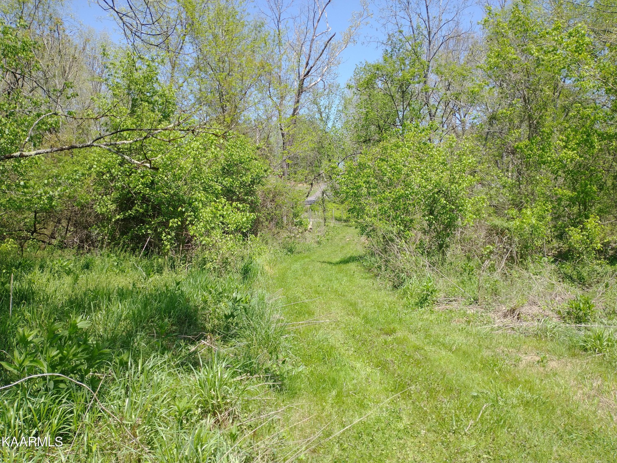 420 Winding Ridge Tr