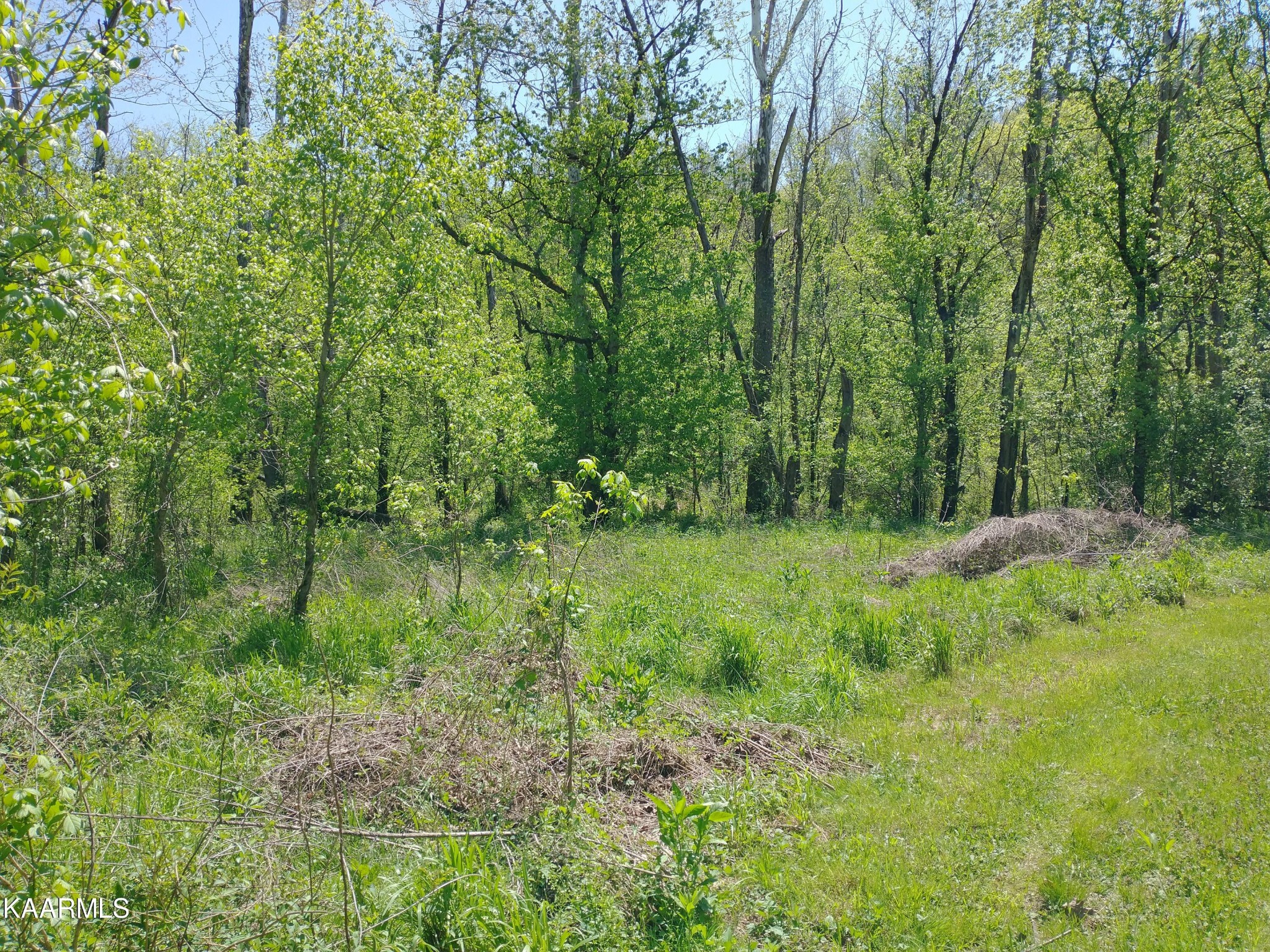 420 Winding Ridge Tr