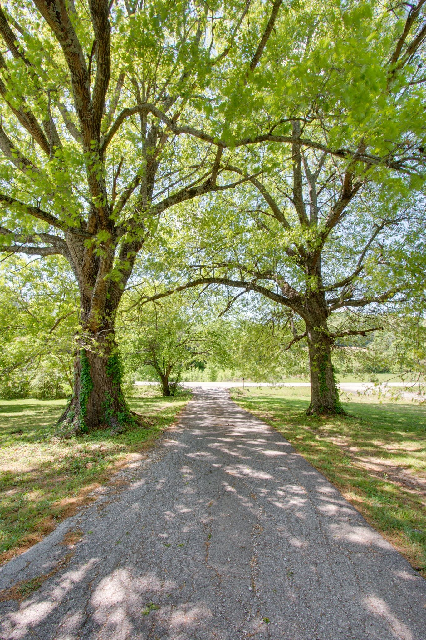 1830 Popes Chapel Rd