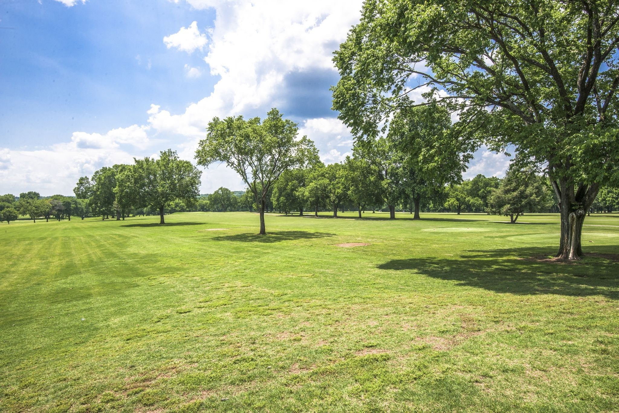 Nashville, Tennessee 37209, United States, 1 Bedroom Bedrooms, ,1 BathroomBathrooms,Residential,Active,232573