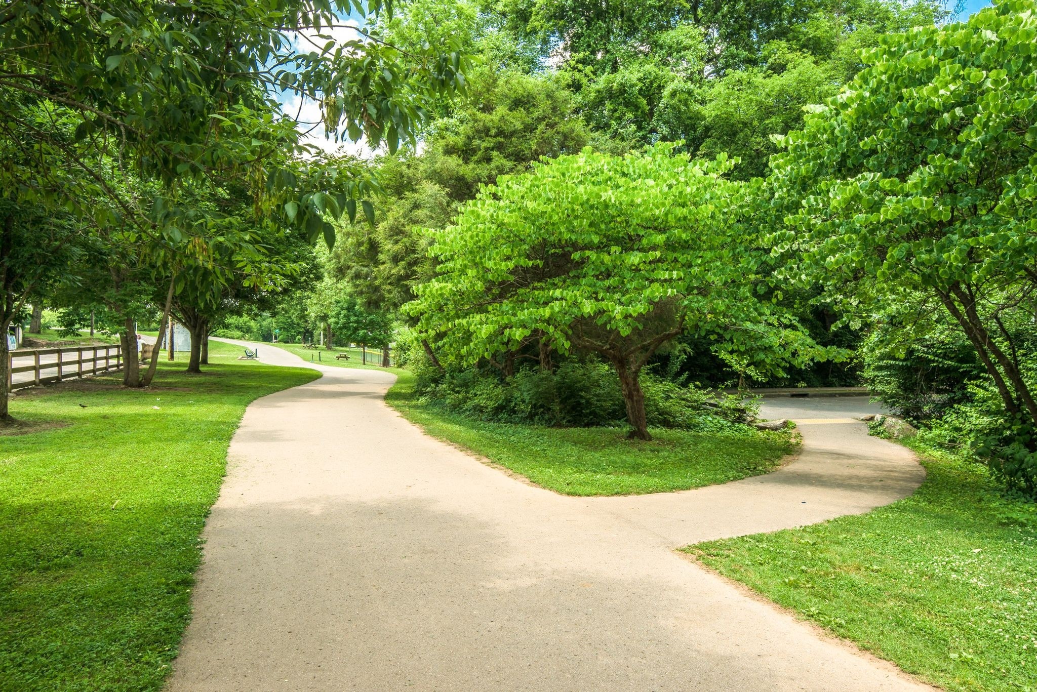 Nashville, Tennessee 37209, United States, 1 Bedroom Bedrooms, ,1 BathroomBathrooms,Residential,Active,232573