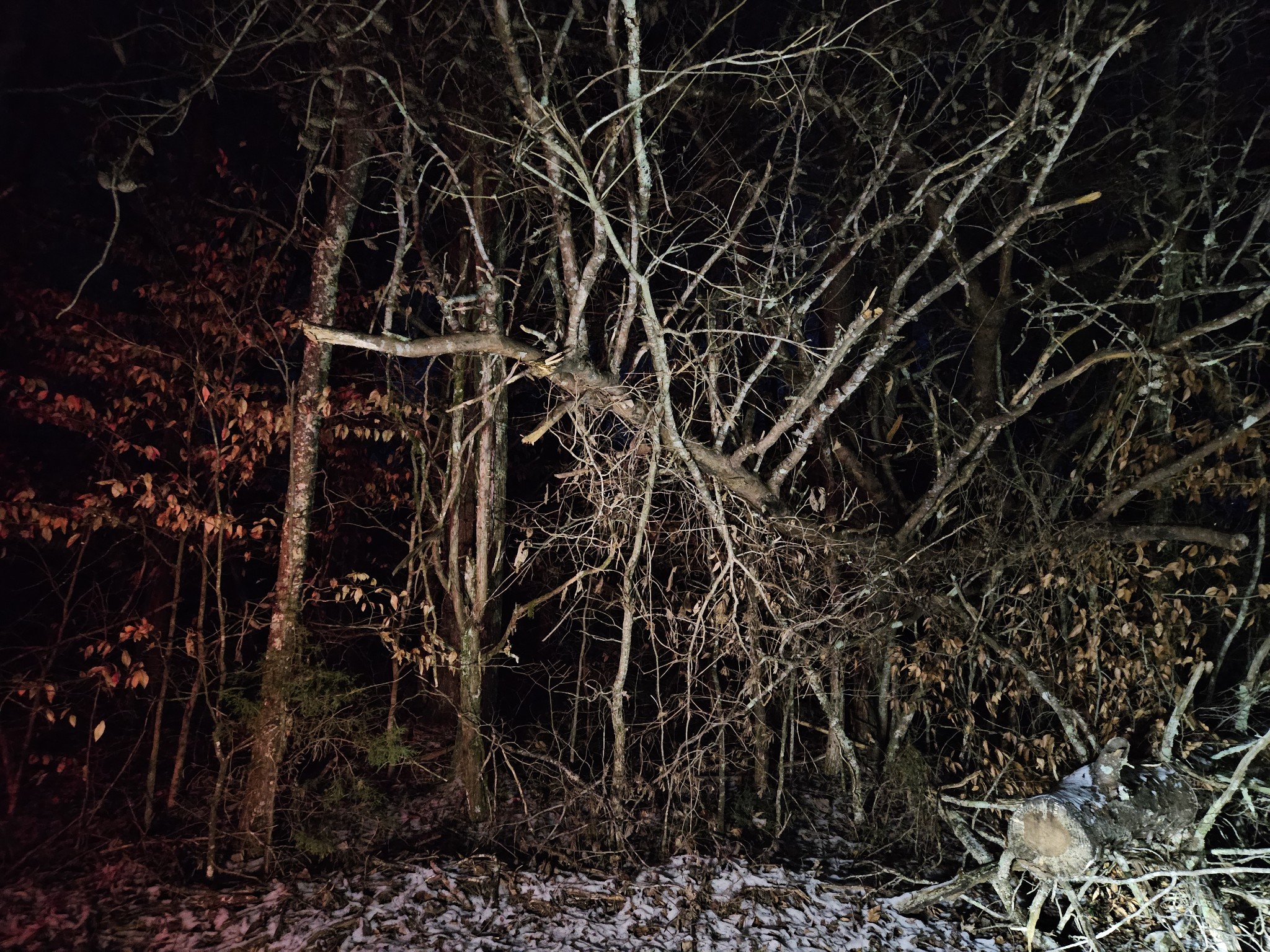 0 Pollard Cemetery Road