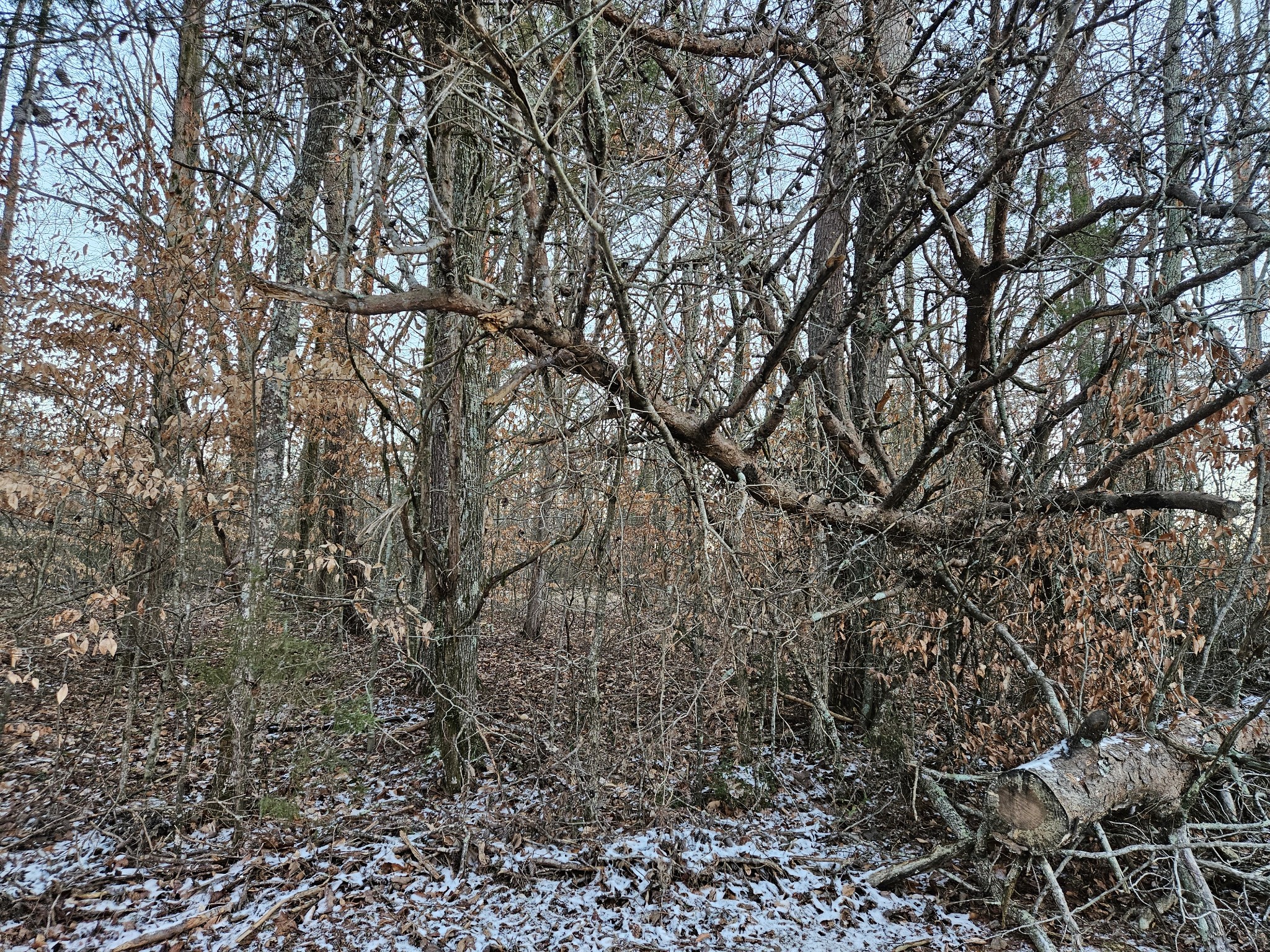 0 Pollard Cemetery Road