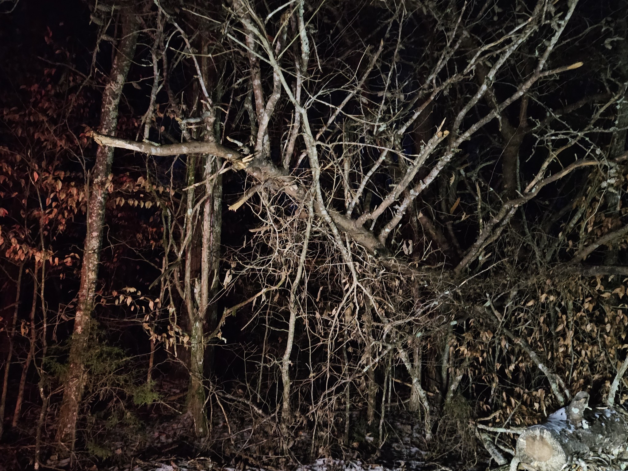 0 Pollard Cemetery Road