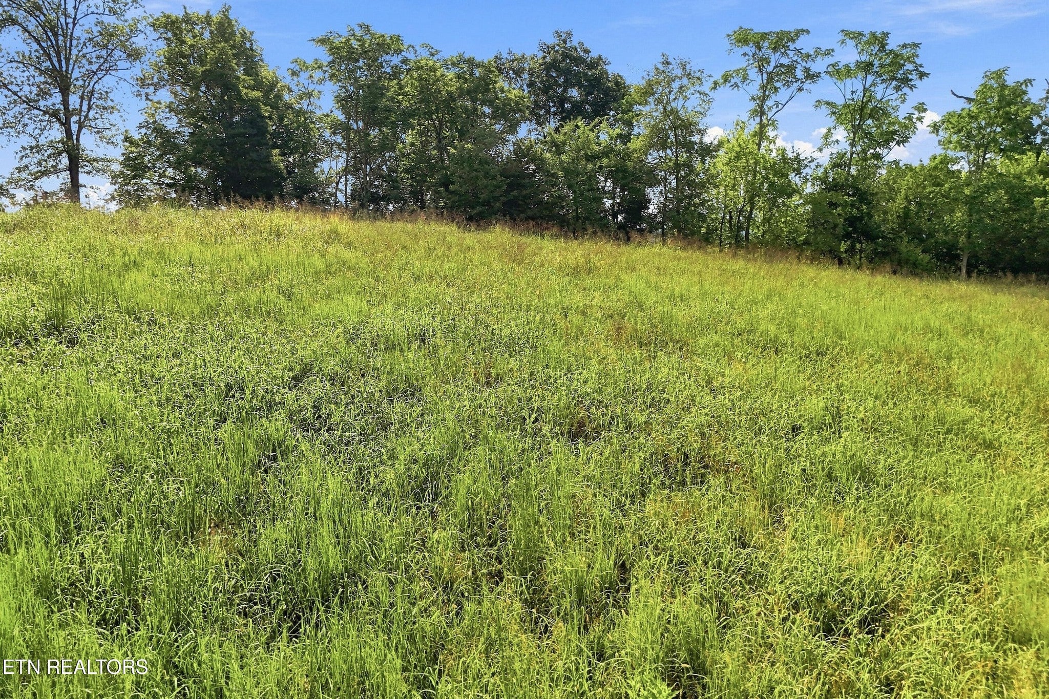0 Holston River Drive