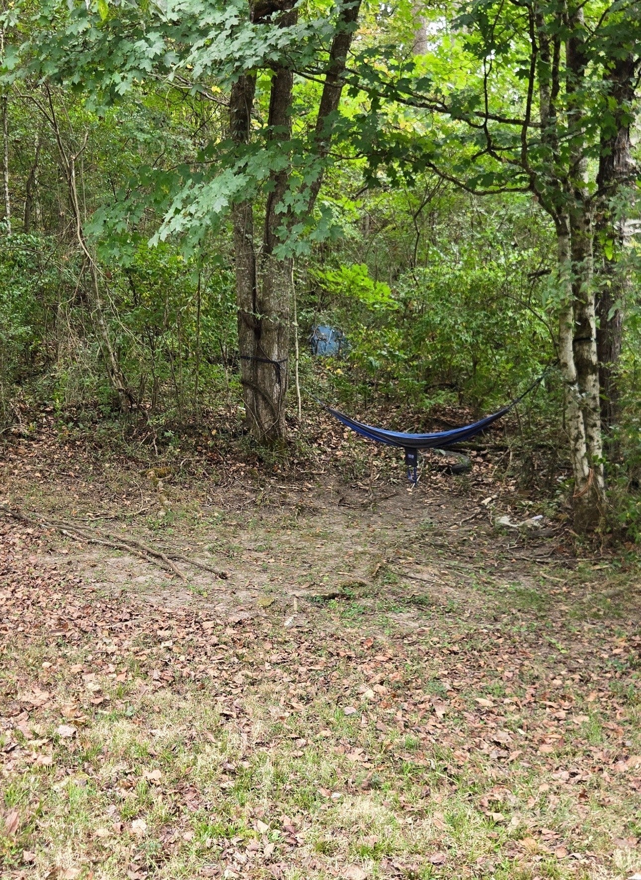 1048 Ross Hollow Rd