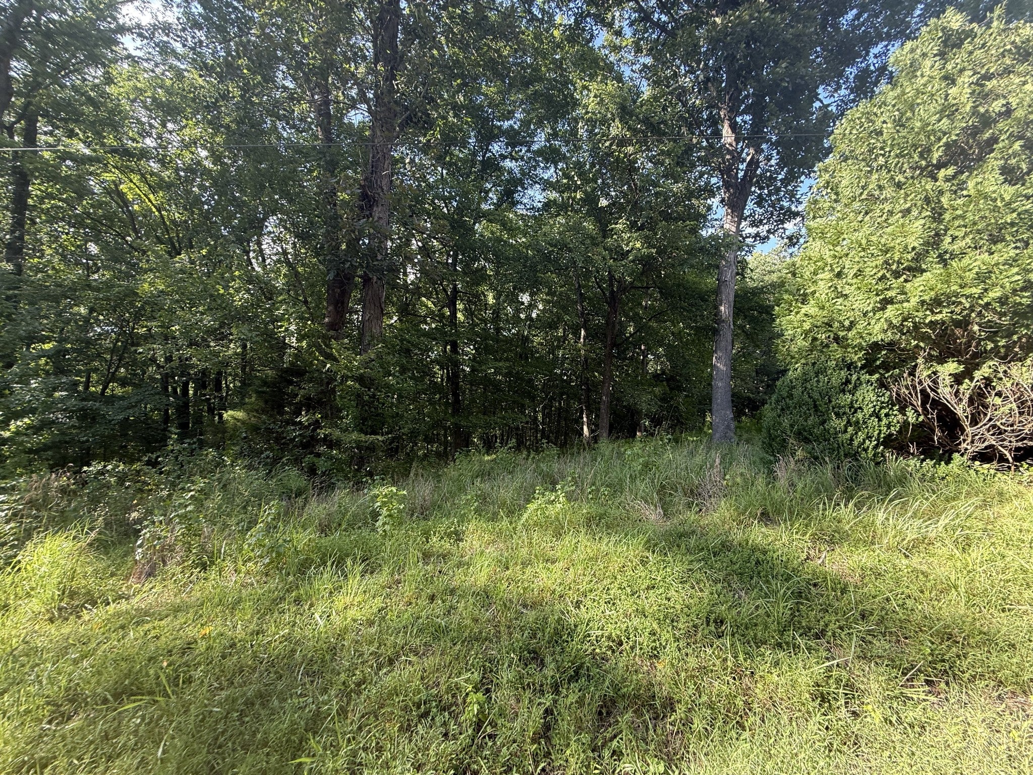 0 Willow Hollow Rd