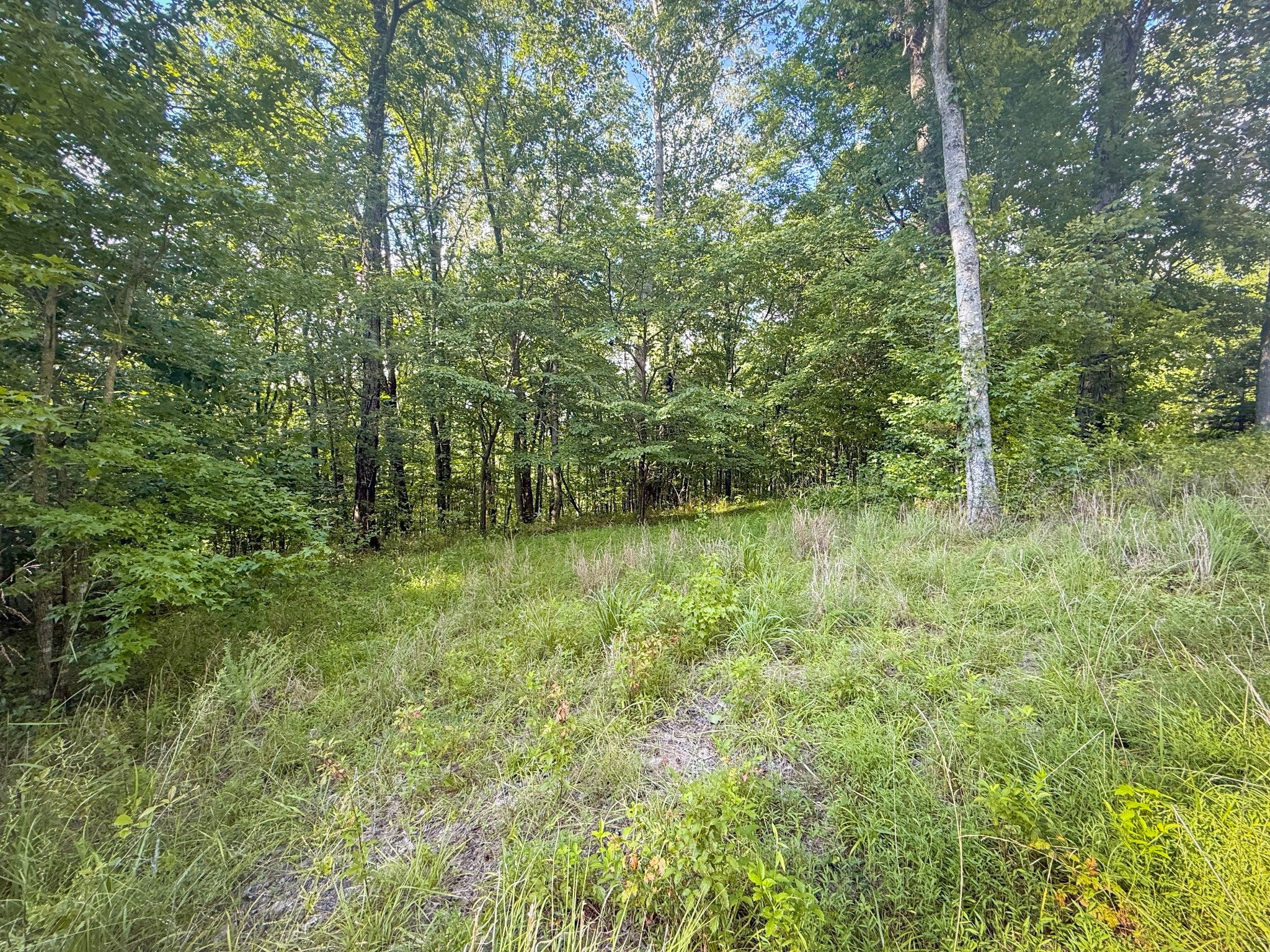 0 Willow Hollow Rd