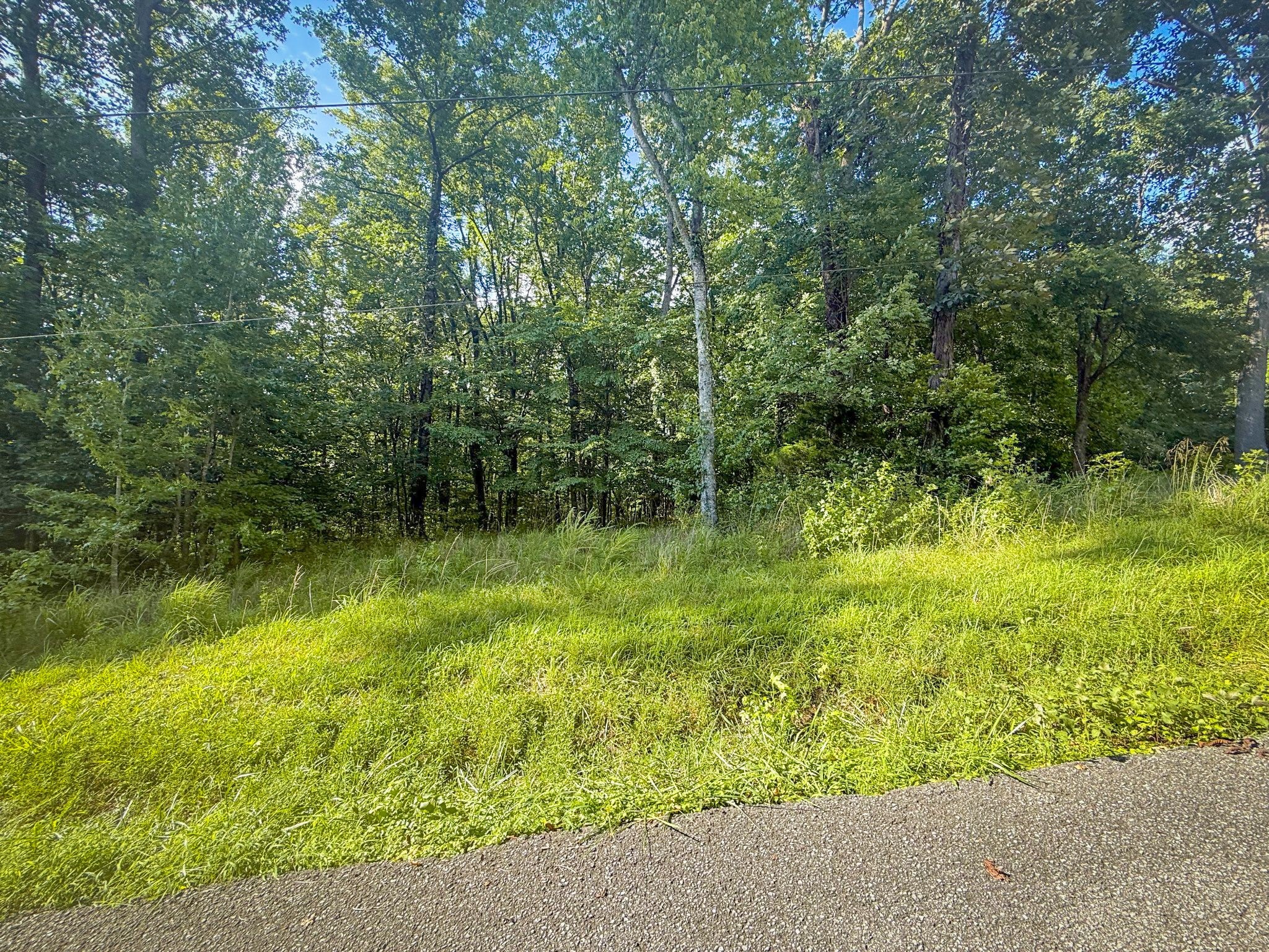 0 Willow Hollow Rd