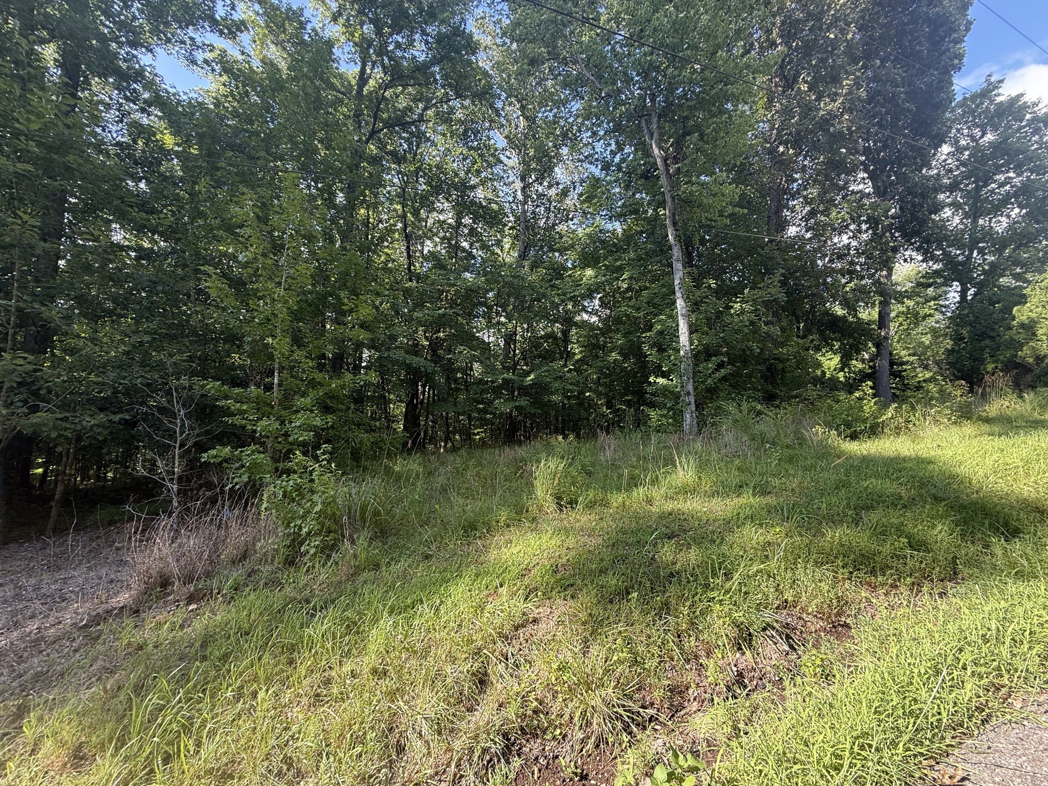 0 Willow Hollow Rd