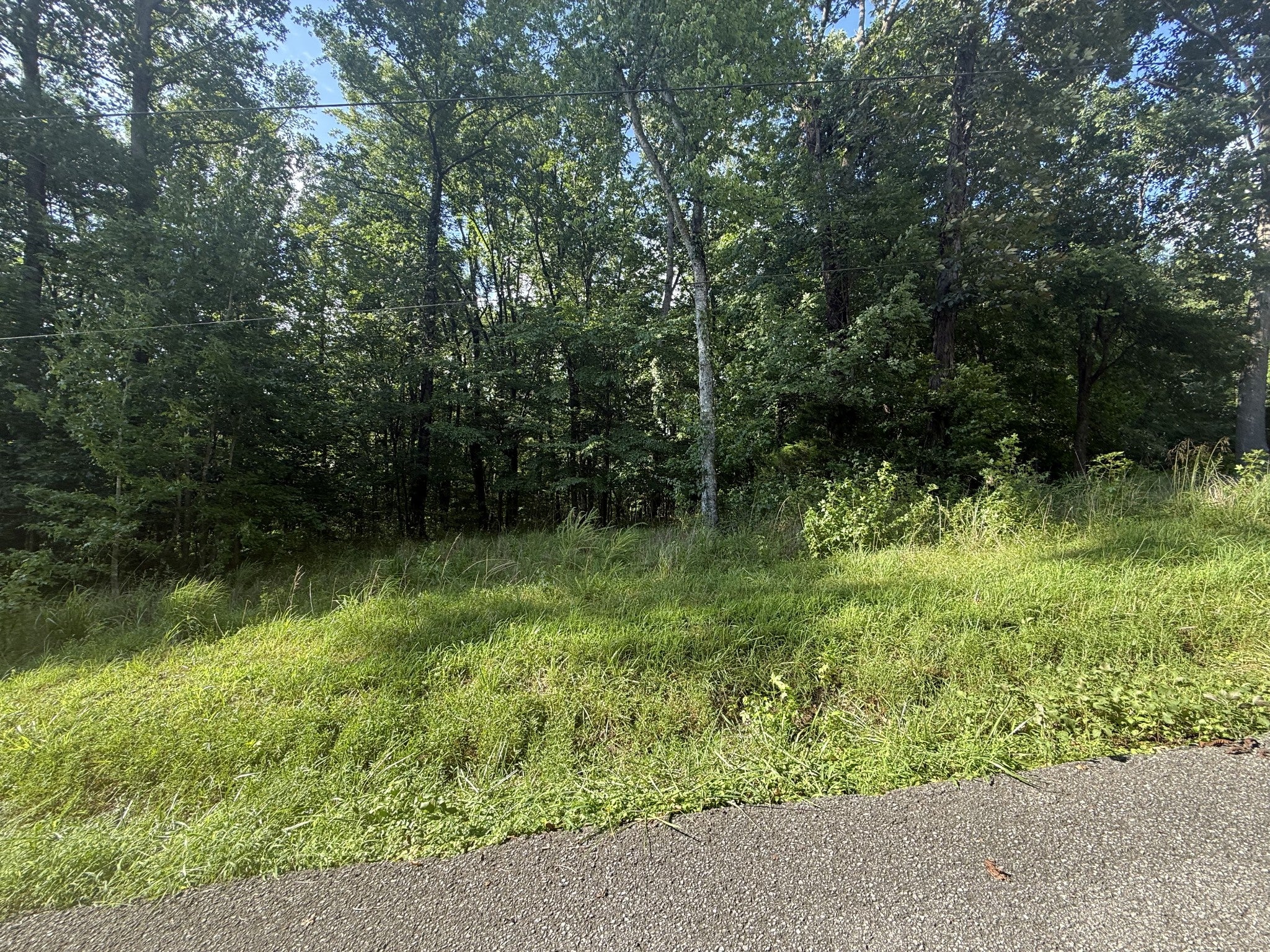 0 Willow Hollow Rd