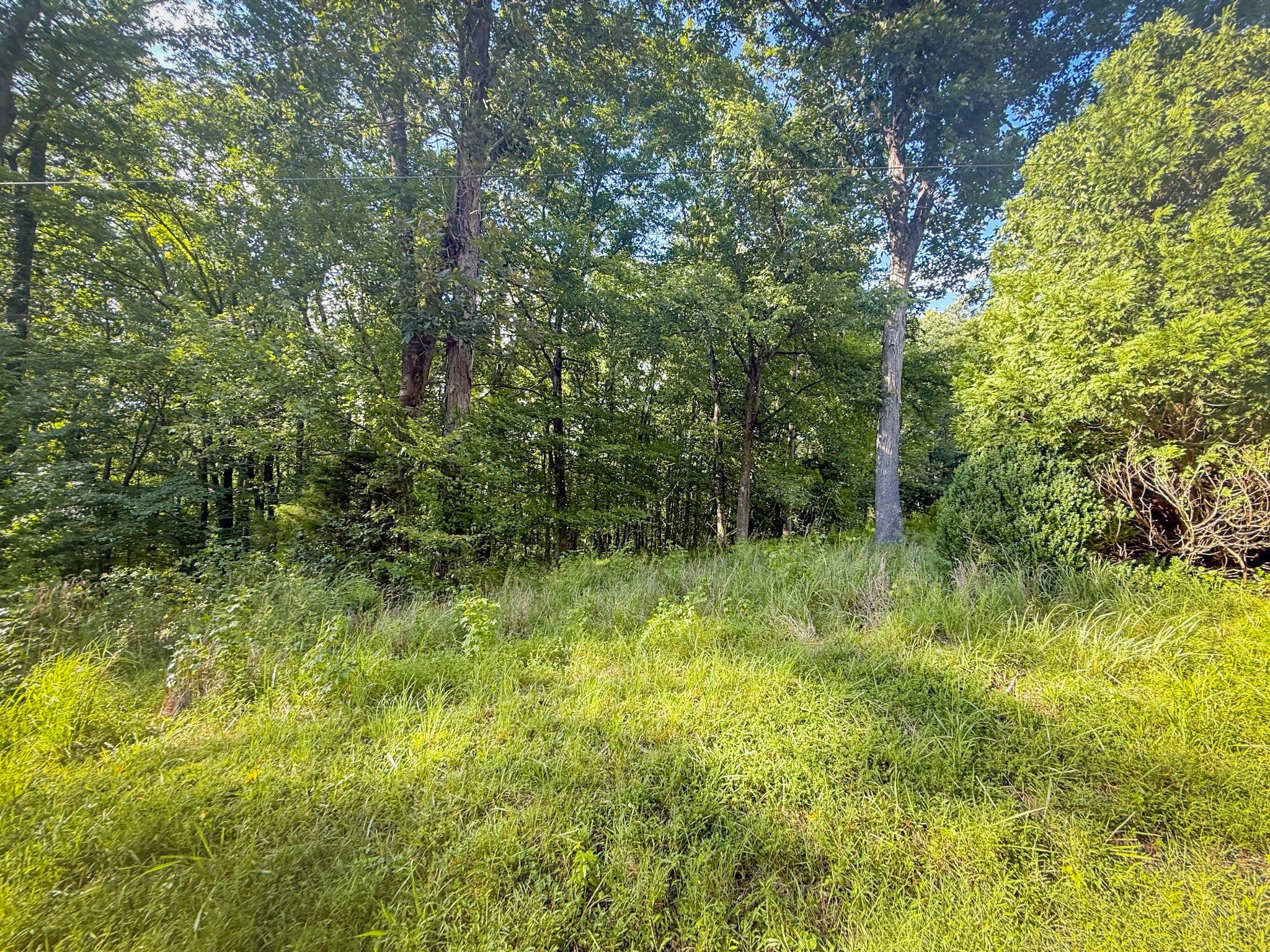0 Willow Hollow Rd