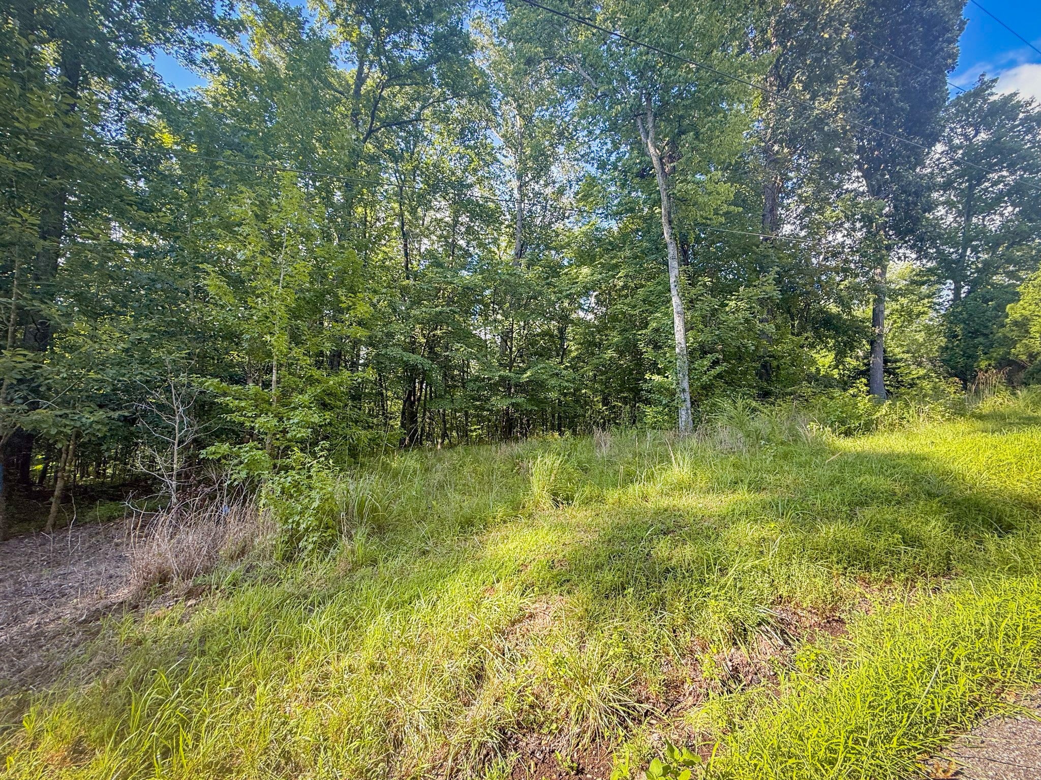 0 Willow Hollow Rd