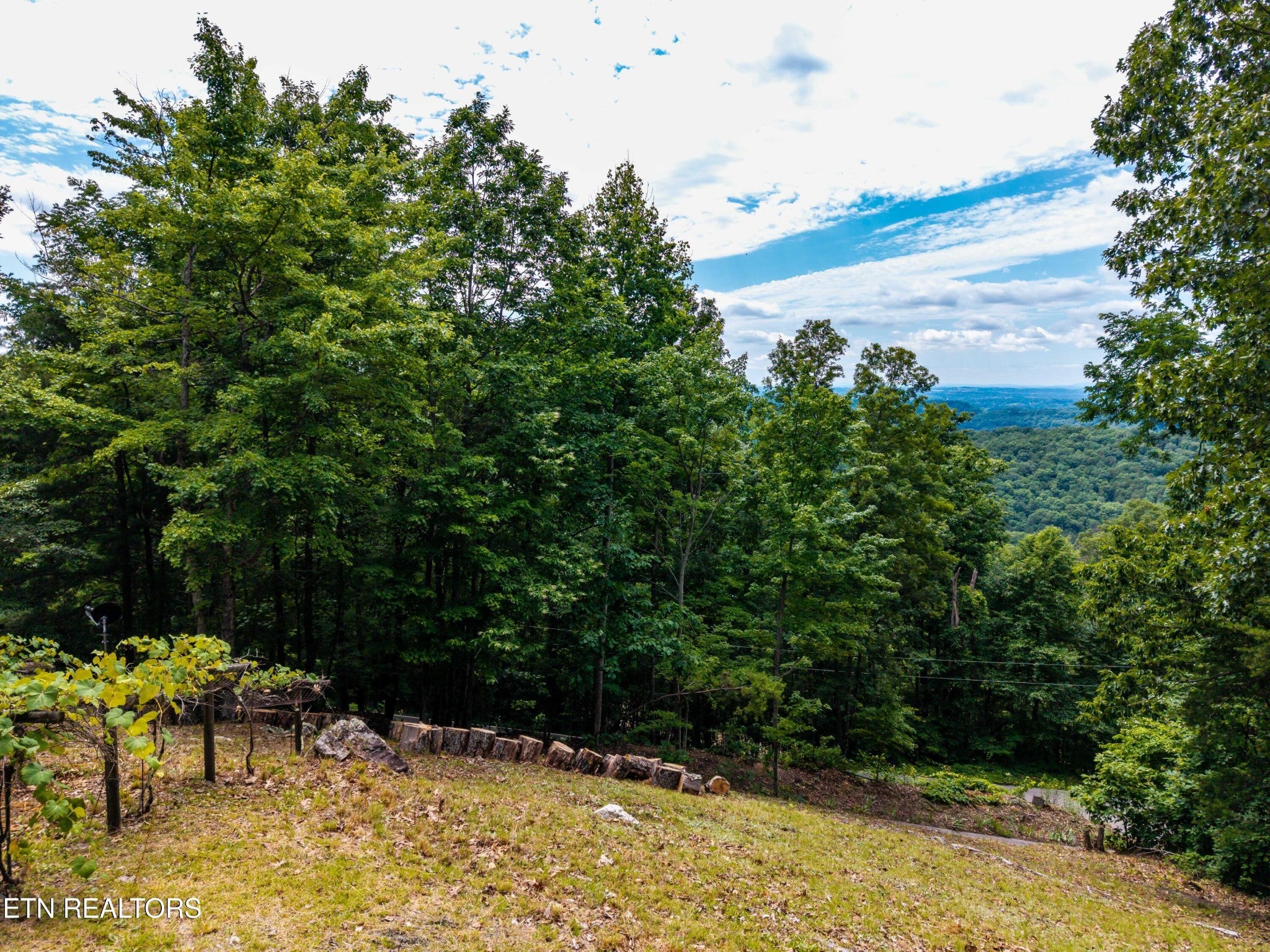 4839 Butterfly Gap Rd